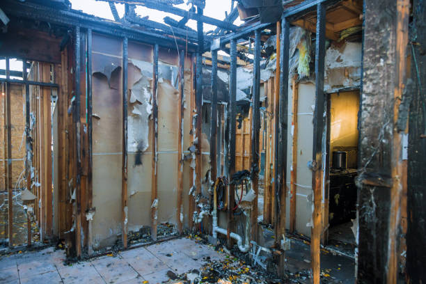 Professional Fire Damage Removal technician working in Oelwein, IA